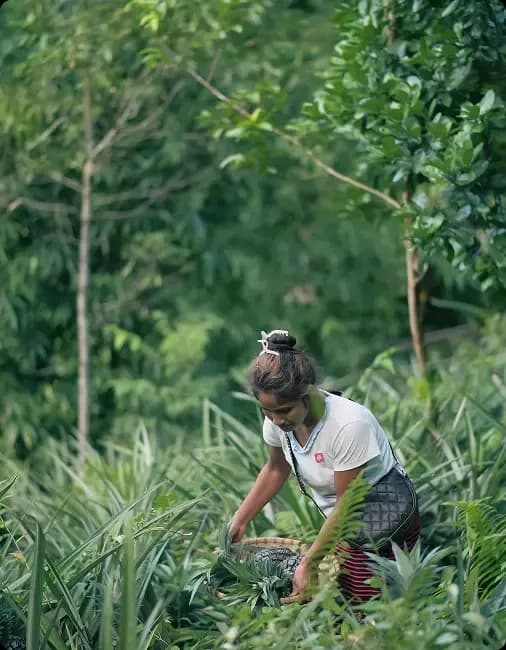 Women in farm 2